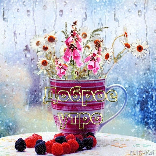 Картинки доброе утро без дождя (60 фото)