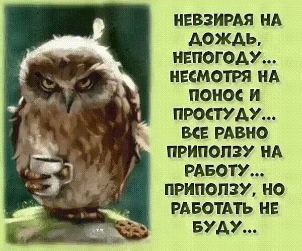 Невзирая на дождь непогоду