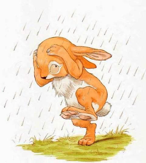 Зайка промок