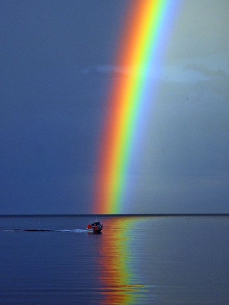 Картинки после дождя всегда радуга (67 фото)