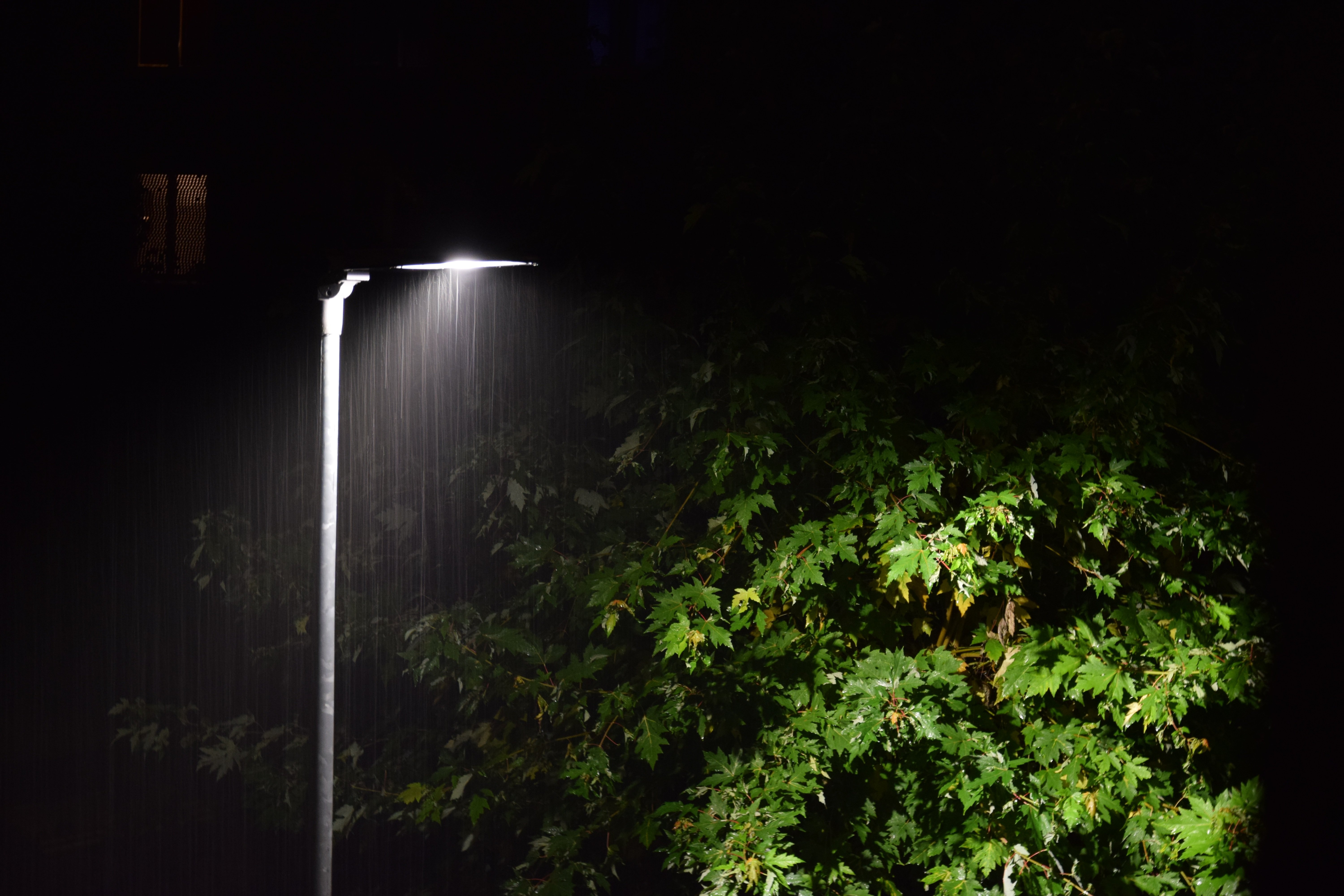 Хороший свет в дождь. Фонарь в темноте. Уличное освещение фонарь. Уличное освещение на Столбах. Уличный фонарь в темноте.