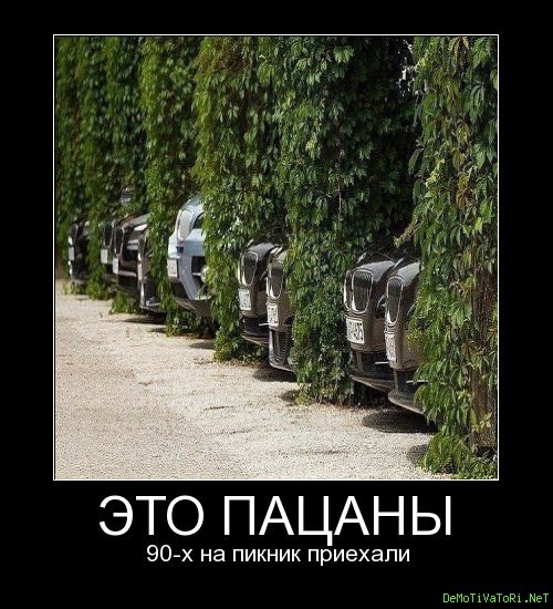 Пикник прикол