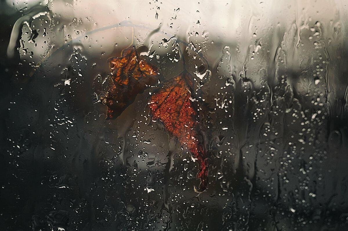 Тоскующий ветер. Дождь за окном. Дождь в душе. Дождь в окне. Дождь за окном грусть.