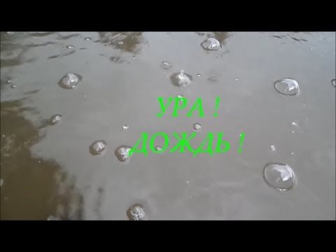Наконец то дождик