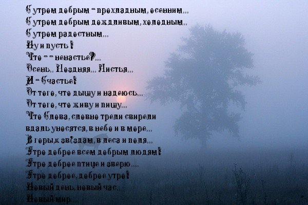 Доброе дождливое утро стихи