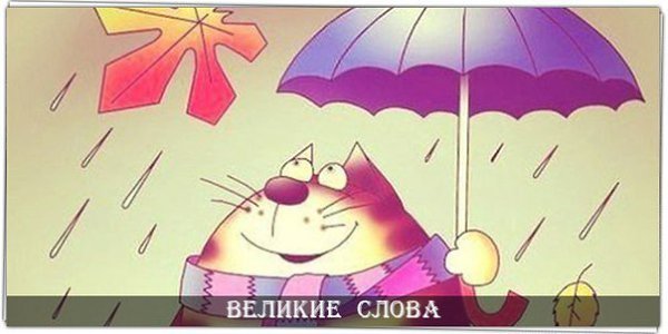 А дождь он просто идет