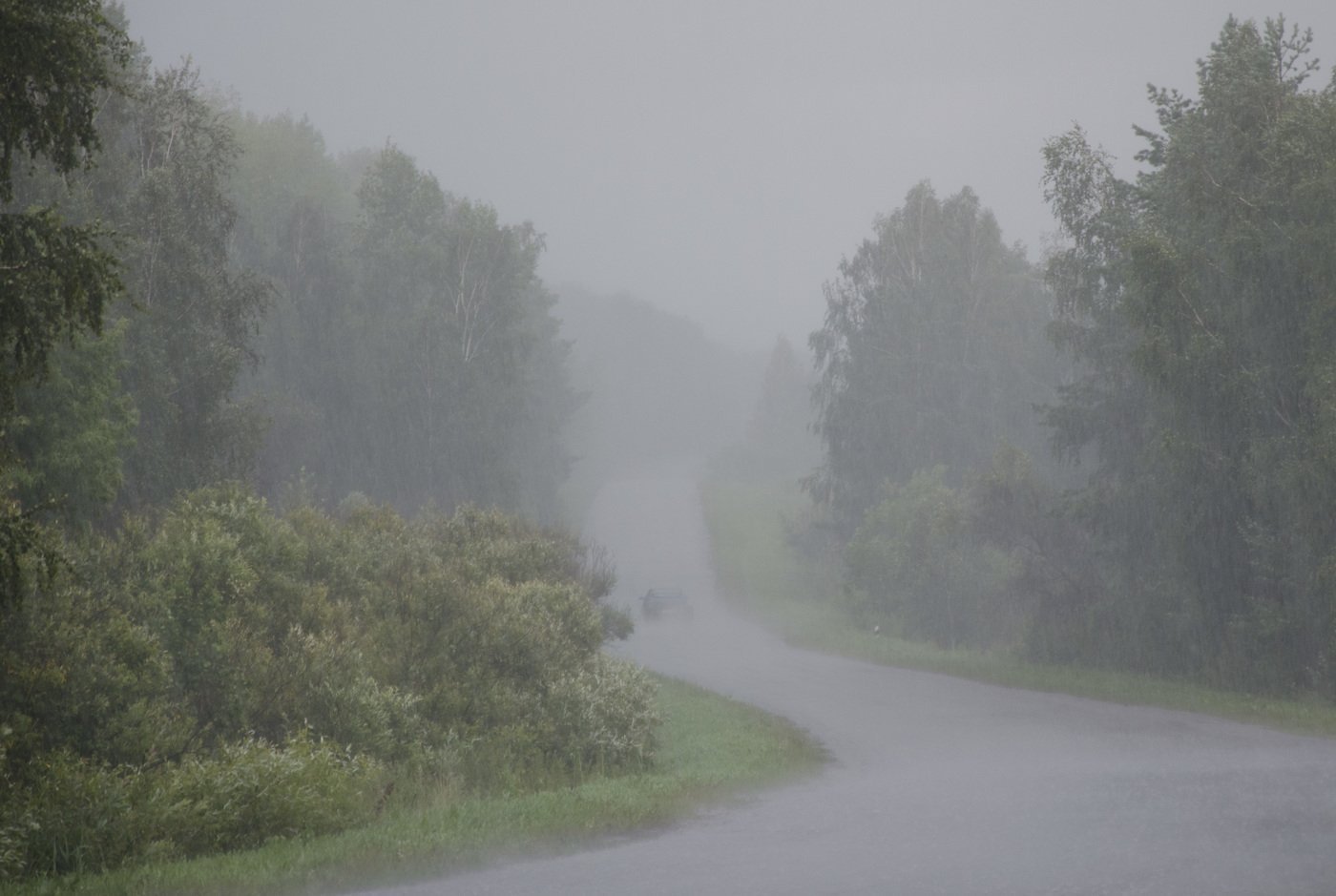 Гроза по видимому проходит стороной и дождь. Дождь и туман. Сильный дождь в лесу. Сильный туман в лесу. Гроза туман.