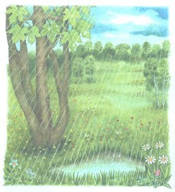 Рисунок к стихотворению Фета весенний дождь