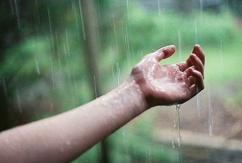 Дождь на ладони