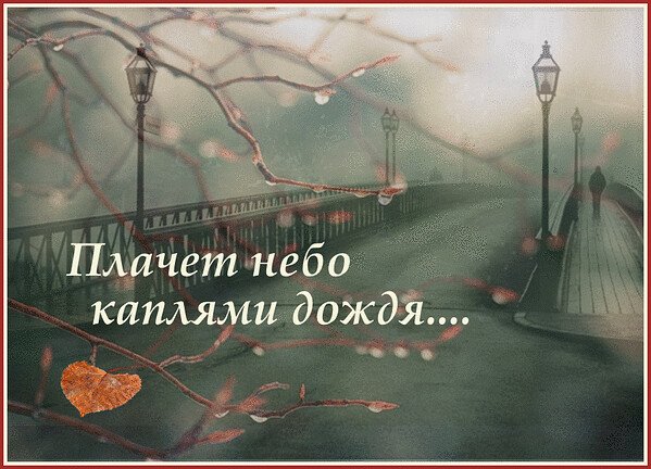 Статусы про дождь и осень