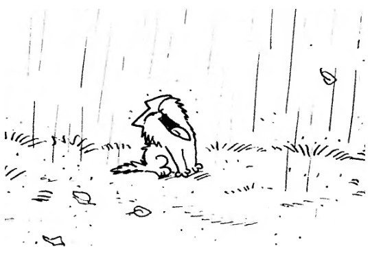 Раскраска котик под дождем