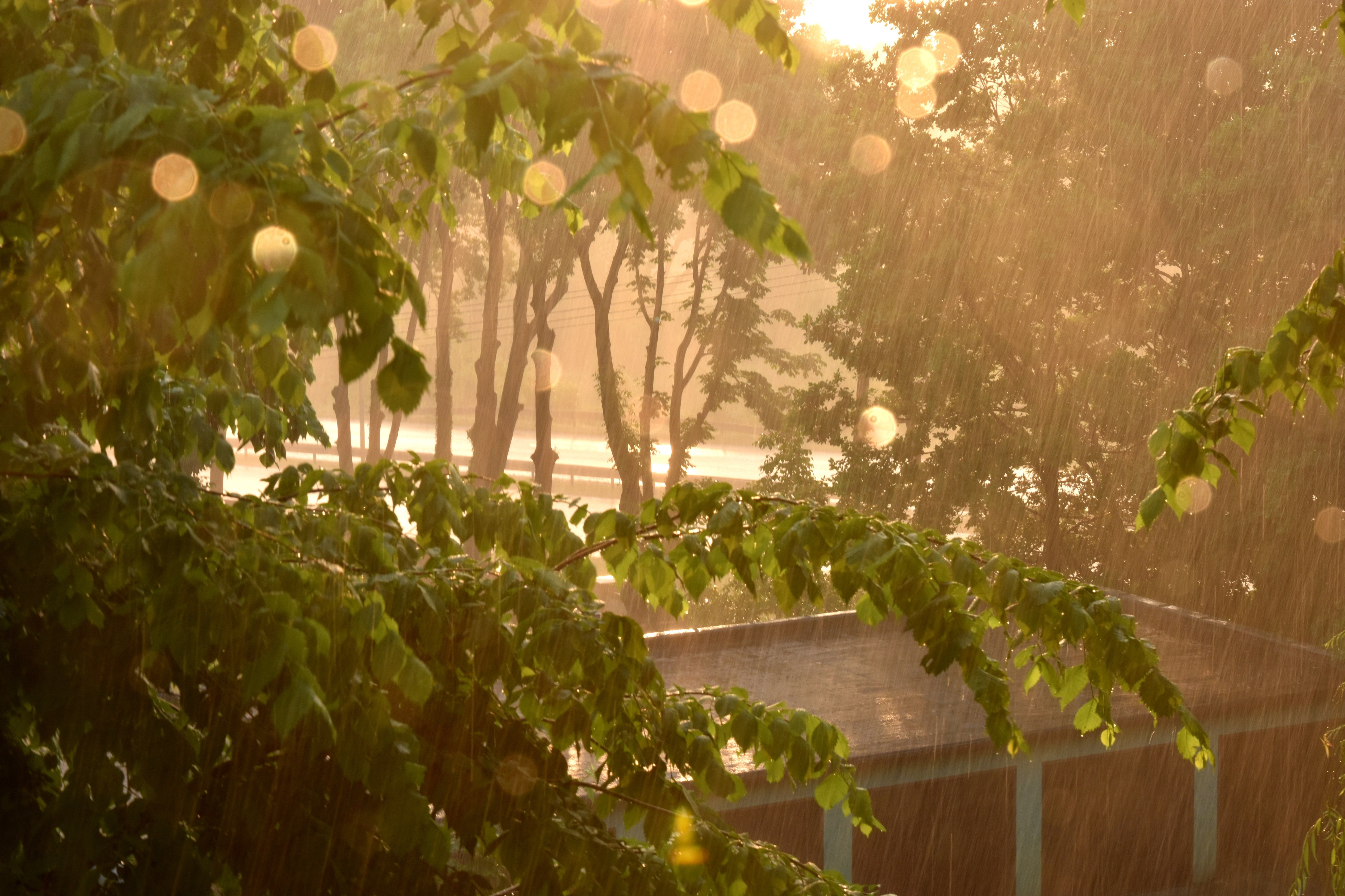 Приход утро. Дождливое утро. Летний ливень. Дождь и солнце. Солнце после дождя.