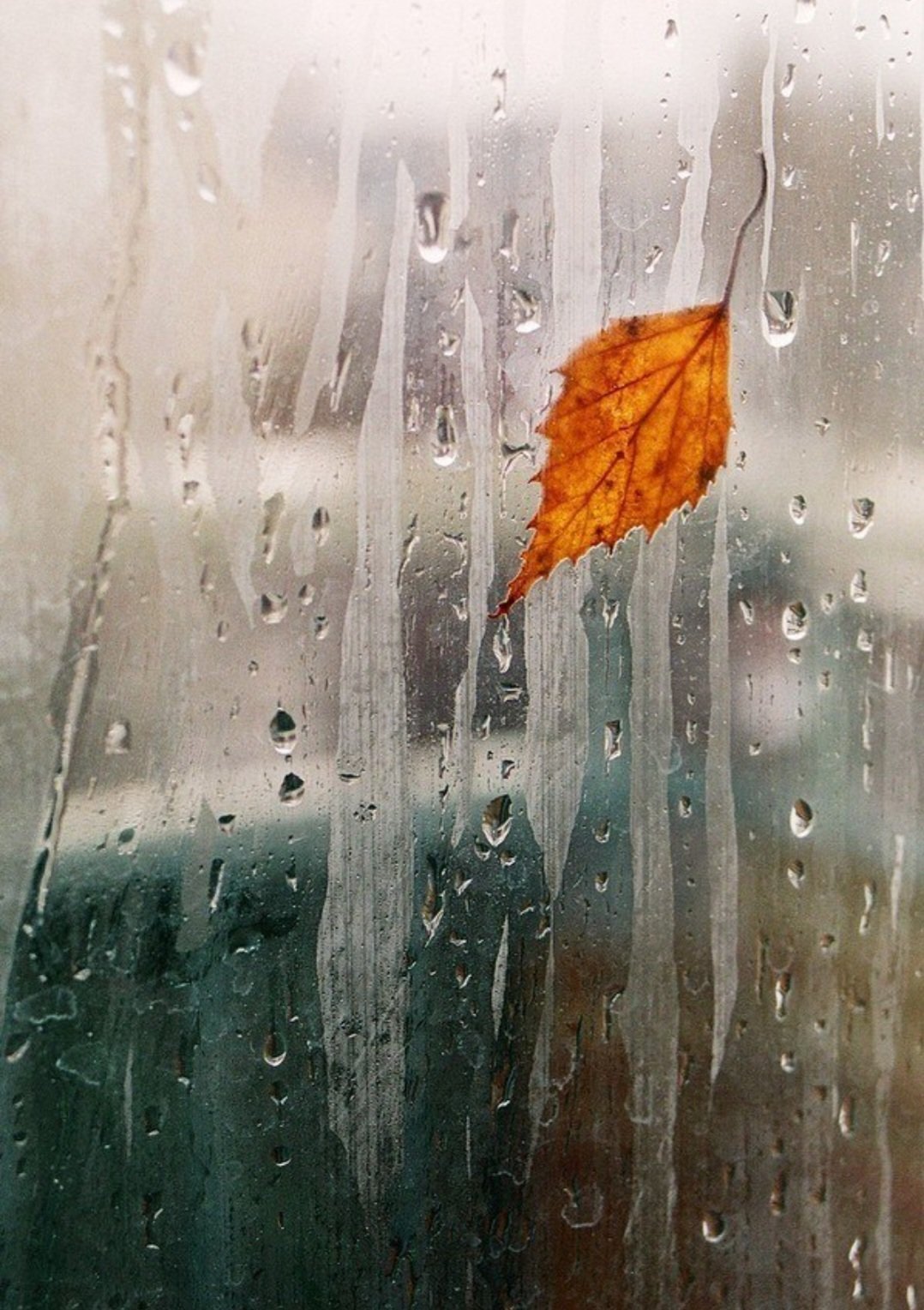 Целый день шел мелкий дождь. Осень дождь. Дождливое настроение. Осень дождь грусть. Дождь за окном.