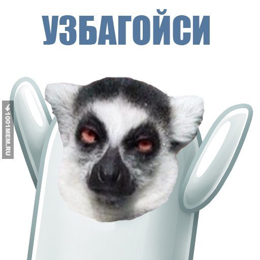 Мем узбагойся медведь