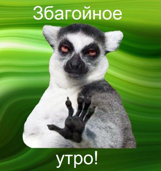 Аватарка для ватсапа узбагойся