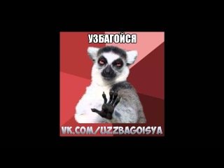 Узбагойся,Маша все разрулить