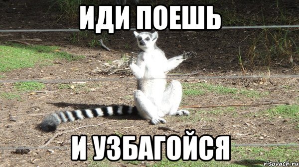 Я спокоен лемур