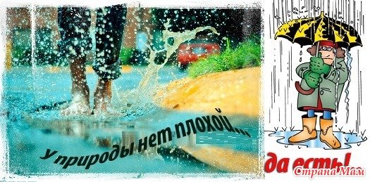 Открытки у природы нет плохой