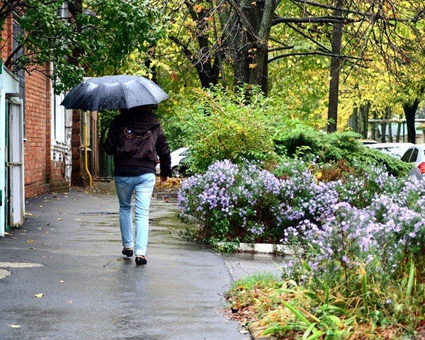 Цветы в Сочи в дождь