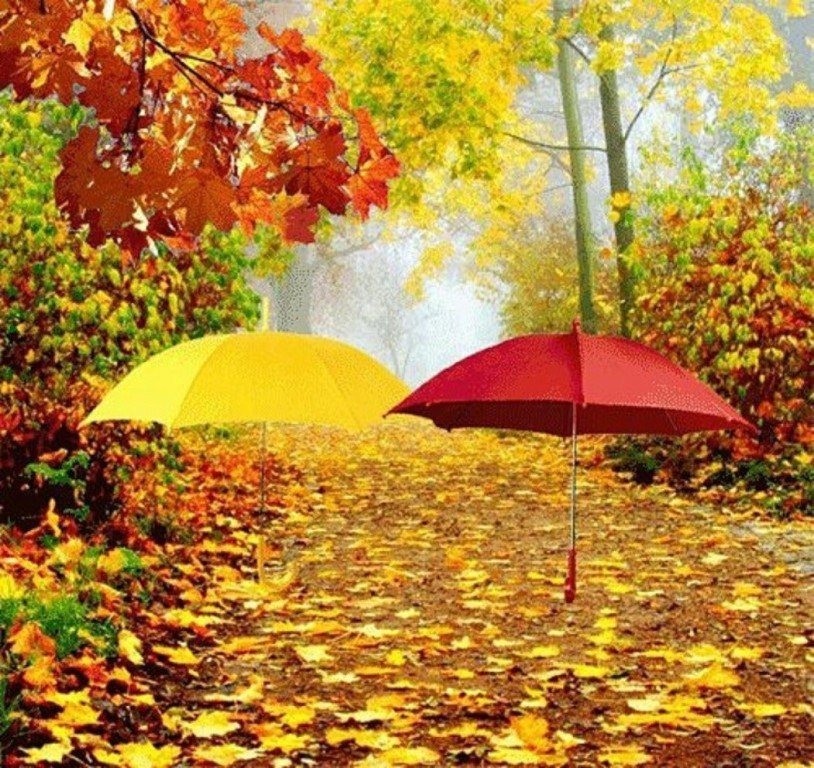 Фото Осень дождь, более 98 качественных бесплатных стоковых фото