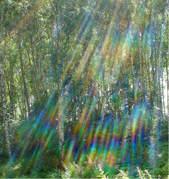 Дождь для радуги