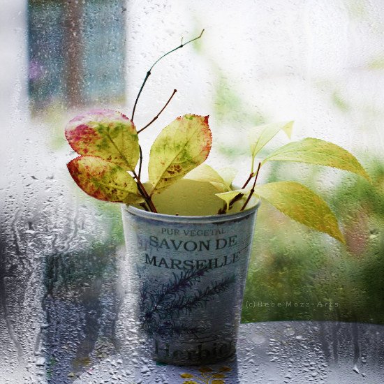 Доброе дождливое осеннее утро