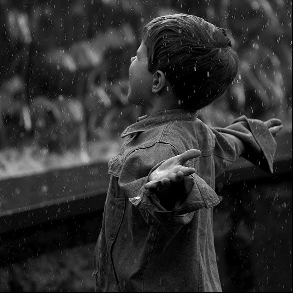 Мальчишки под дождем