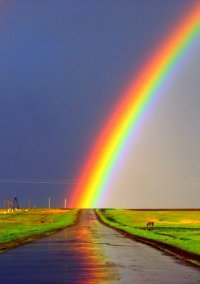 Чтобы увидеть радугу надо пережить дождь картинки из мультика