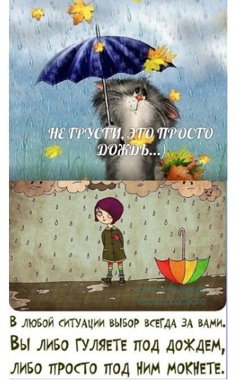 Доброе утро даже в дождь