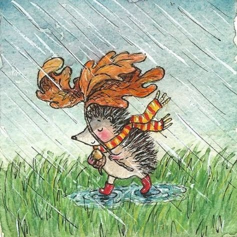 Ежик и дождь