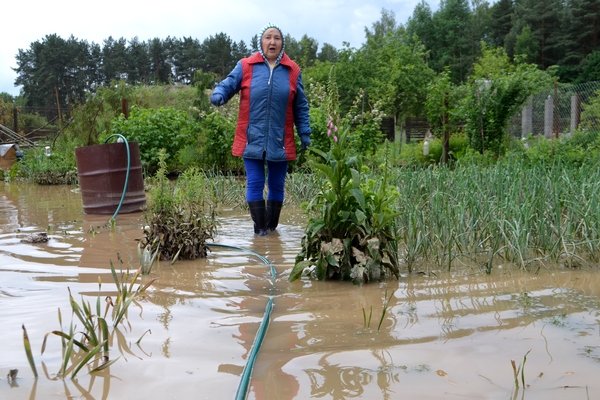 Ливень в огороде
