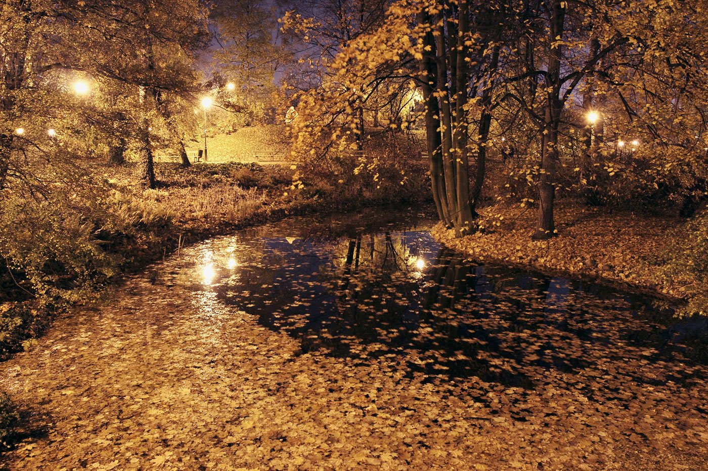 Вечер дождь осенняя. Осенний вечер. Осень вечер. Осень дождь. Дождливый осенний вечер.