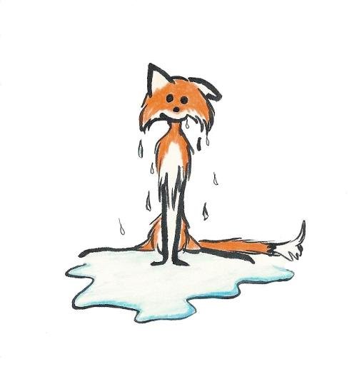 Мокрая лиса