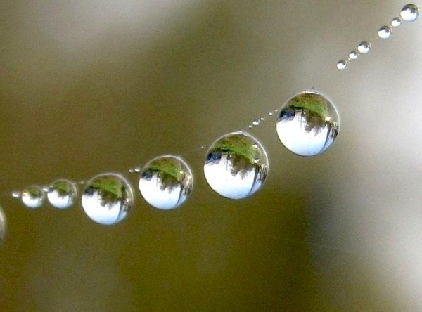 Счастье дождь из капелек воды