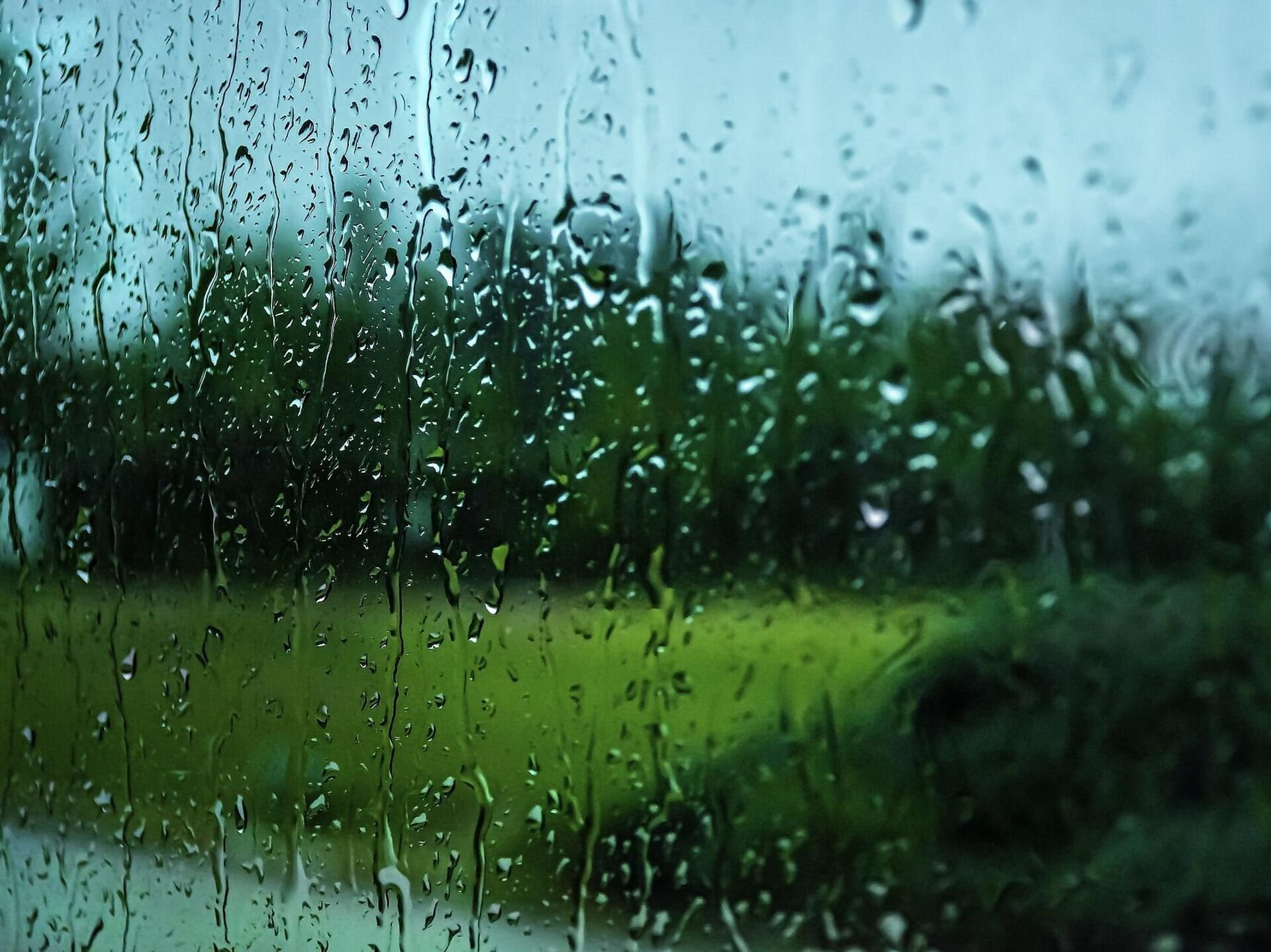 Пояснение дождь. Дождь. Дождь картинки. Природа дождь. Обои дождь.