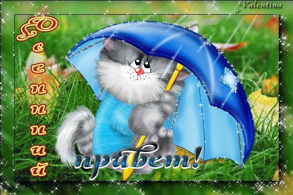 Хорошего настроения в любую погоду gif