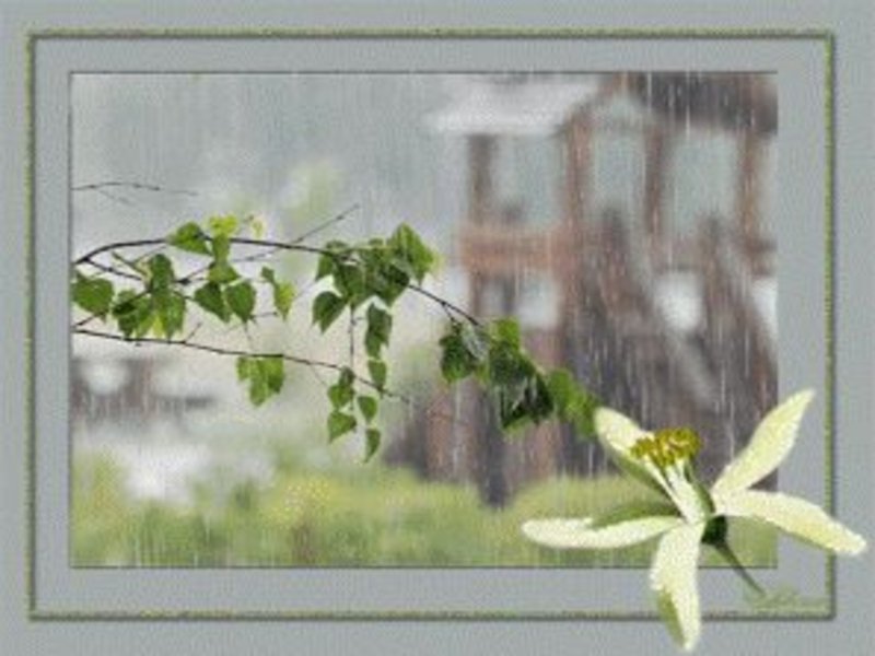 Летом даже в безветренный день. Весенний дождь. Дождливое Весеннее утро.
