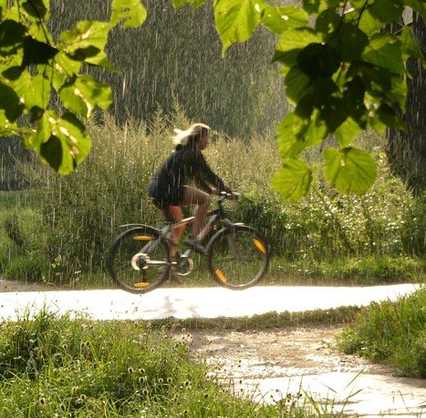Летний грибной дождик в городе