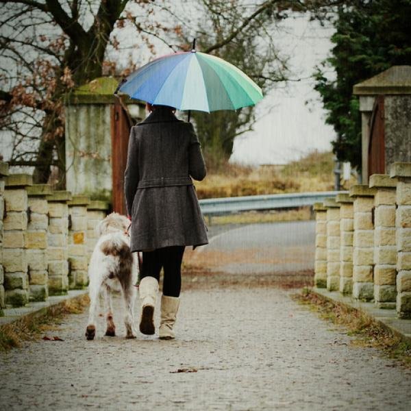 Девочка гуляет с собакой под дождем