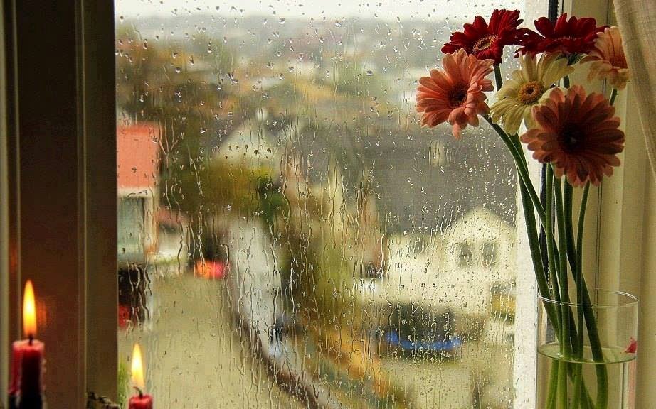 Утро стучит в окно. Дождь за окном. Дождь в окне. Пасмурный день окно. Осень за окном.