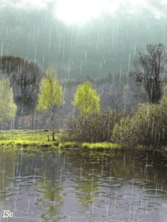 Весенний дождь анимация