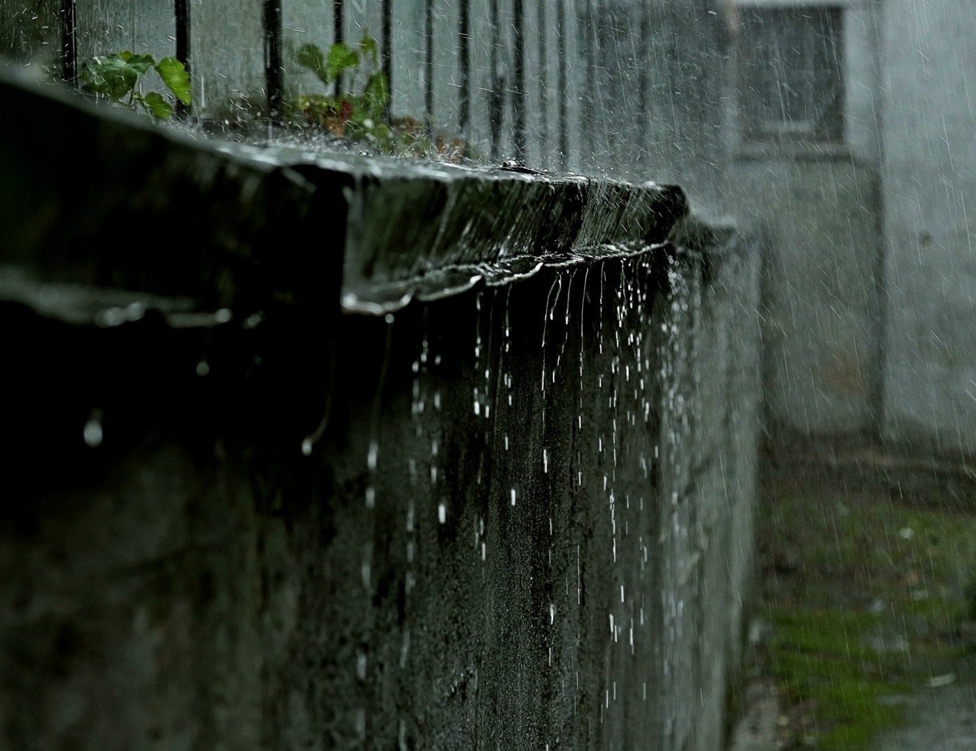 Дождь без перерыва. Дождь. Дождь стеной. Дождь картинки. Ливневые дожди.