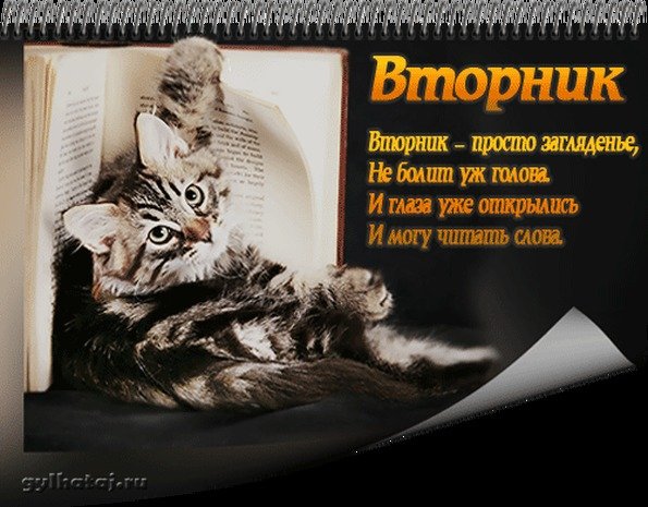 Высказывания про вторник