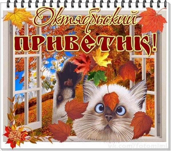 Октябрьский осенний приветик