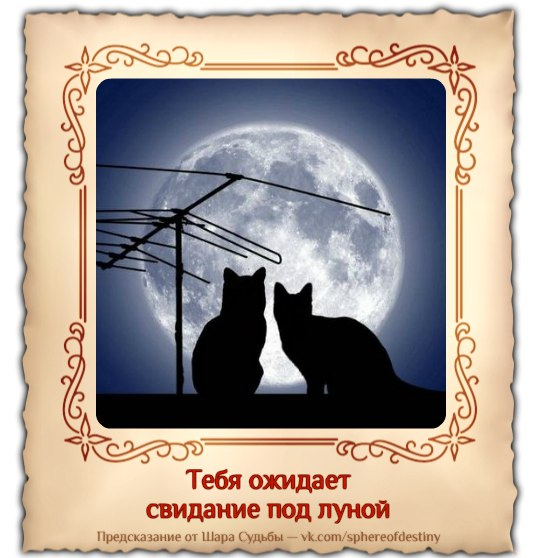 День свиданий под луной открытки