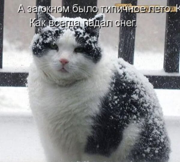Про снег в апреле смешные