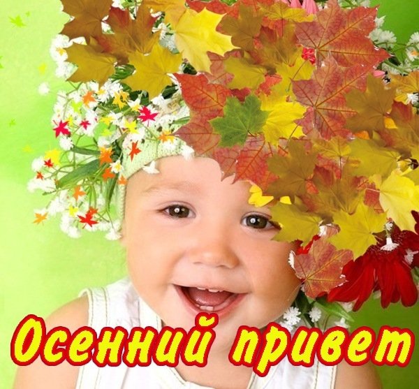 Привет, осень!