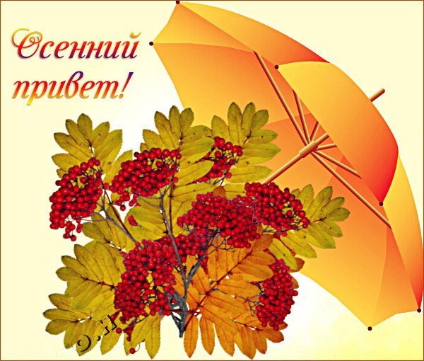 Открытки осенний приветик