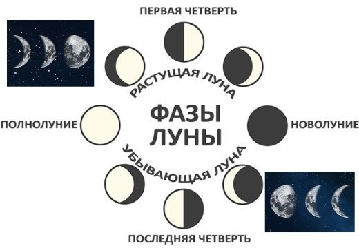 Фазы Луны рисунки и названия