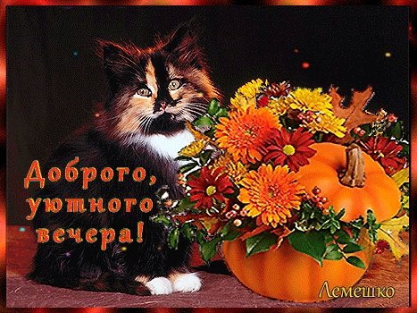 Хорошего осеннего вечера и спокойной ночи